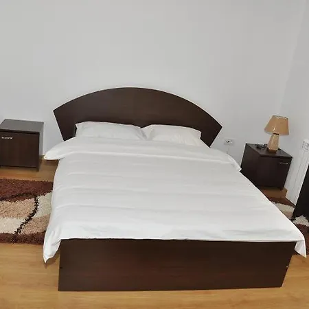 Pensiune Pensiunea Valcinet Borşa
